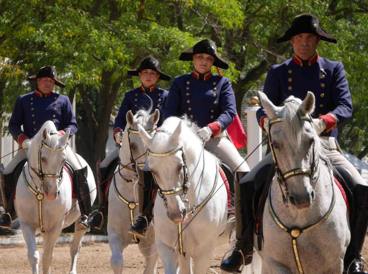 Tempel Lipizzans